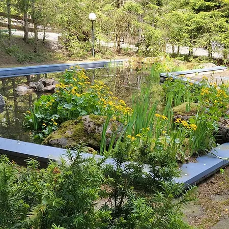 Apartment Kleine Auszeit *